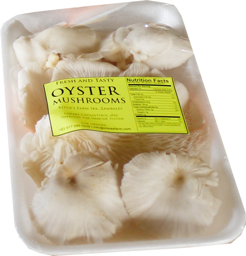 Ostrigarji 300 g / 1 kos.