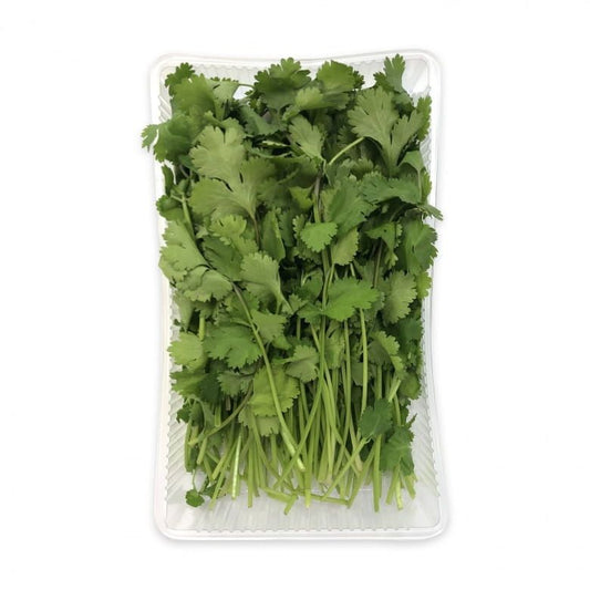 Koriander 100 g lonček / 1 kos.