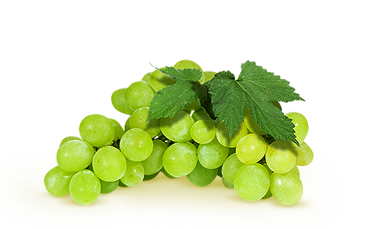 Belo grozdje / 1 kg