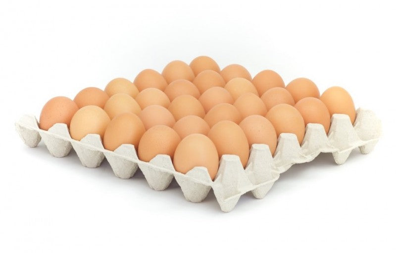 Jajca L 30 kosov na pladenj. / 1 paket